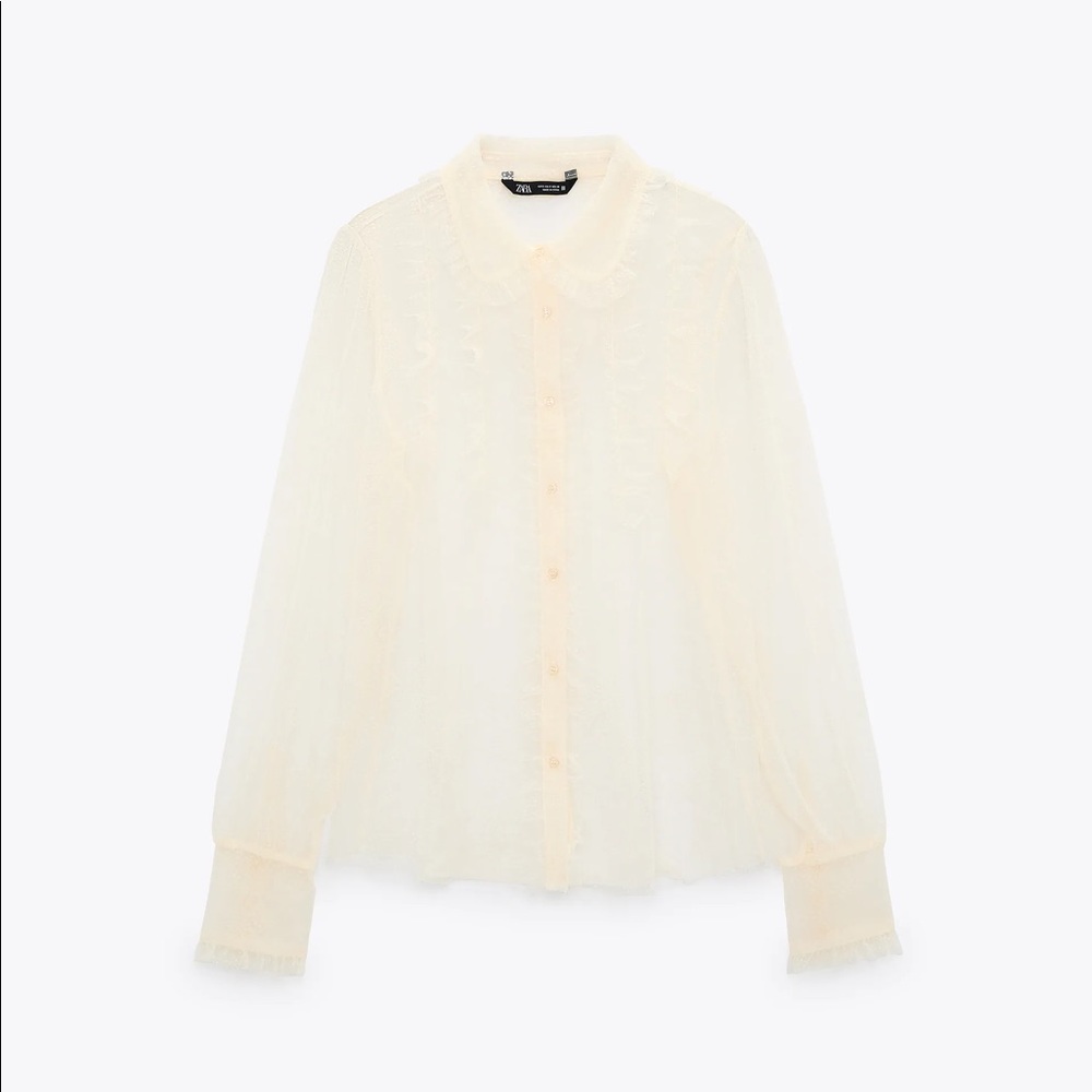 Zara Ruffled Tulle Semi-sheer Blouse. Size S